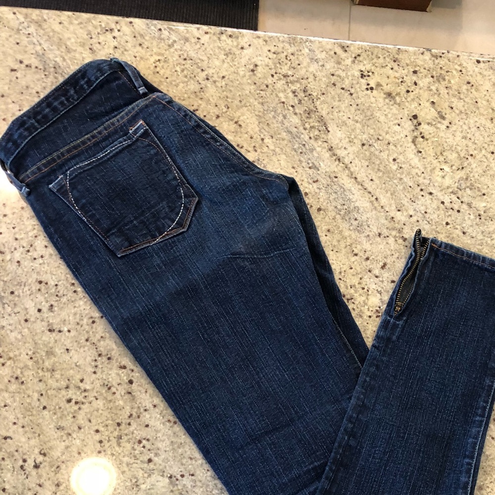 Earnest Sewn Skinny Jeans